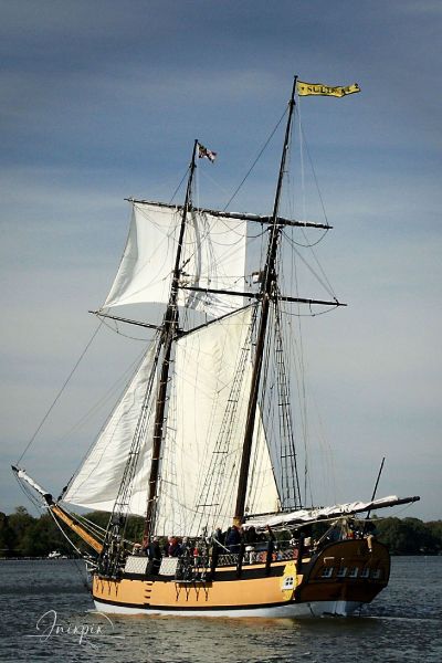 Chestertown Downrigging Sultana